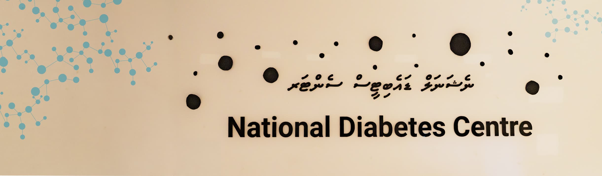 National Diabets Centre