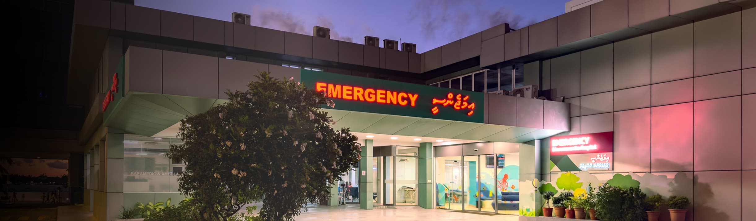 Trauma & Emergency
